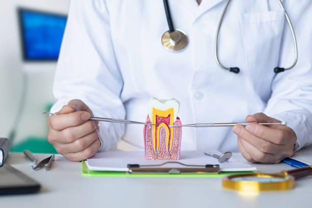 Best Emergency Orthodontic Repairs in Erie, IL